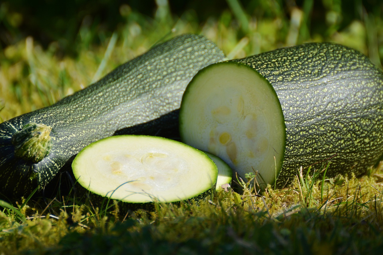 Best Tips for Growing Pumpkins in Your Garden